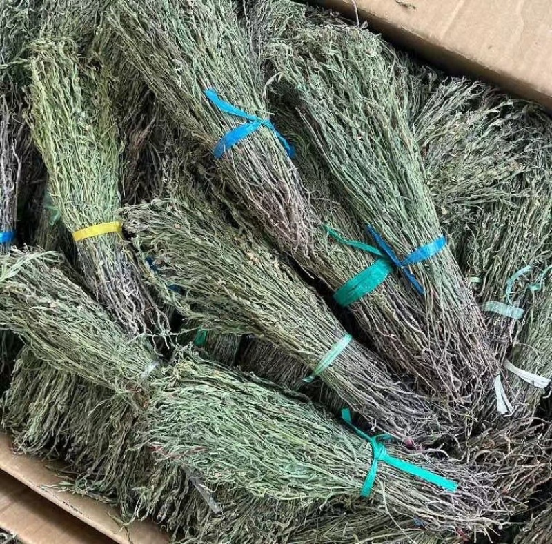 青绿独脚金，产地直销