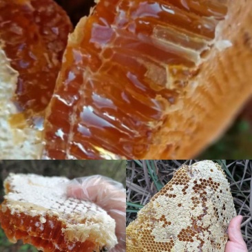 家人挖了十几斤野生蜂蜜，零售卖太麻烦了，有懂的老板秒走吗