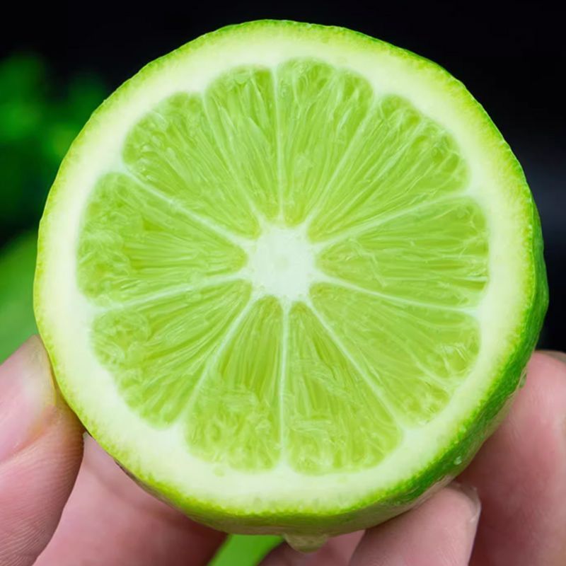 精品广香水柠檬大量供应浓郁清香量大从优