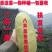 中国八月瓜合作社无籽八月瓜苗推广送苗种植签合同包回收
