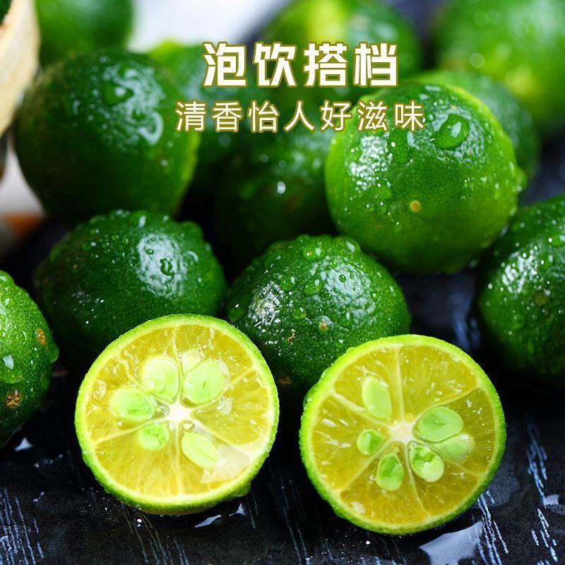 海南小青桔