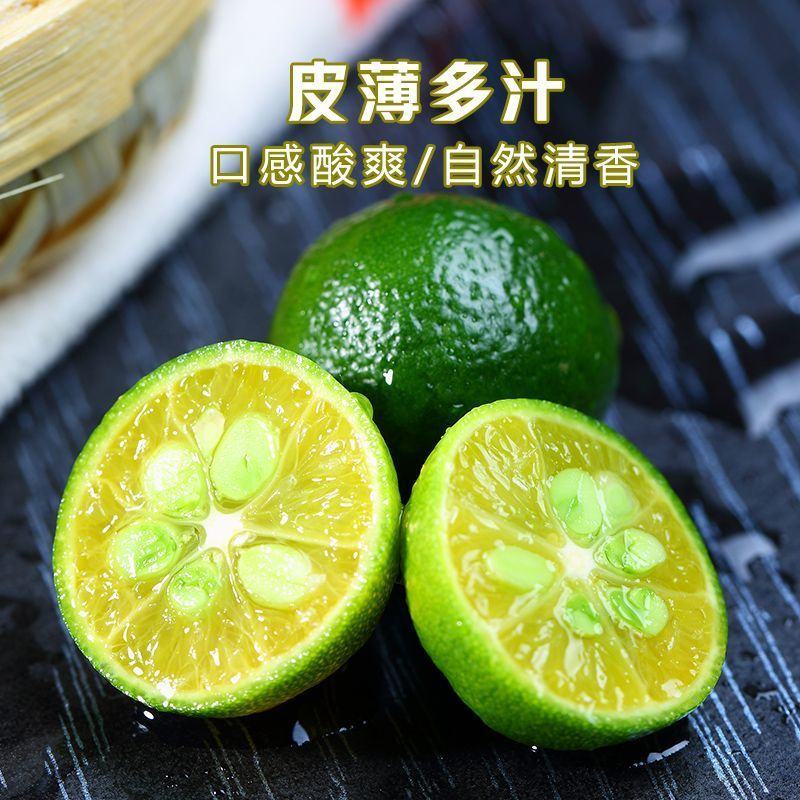 海南小青桔