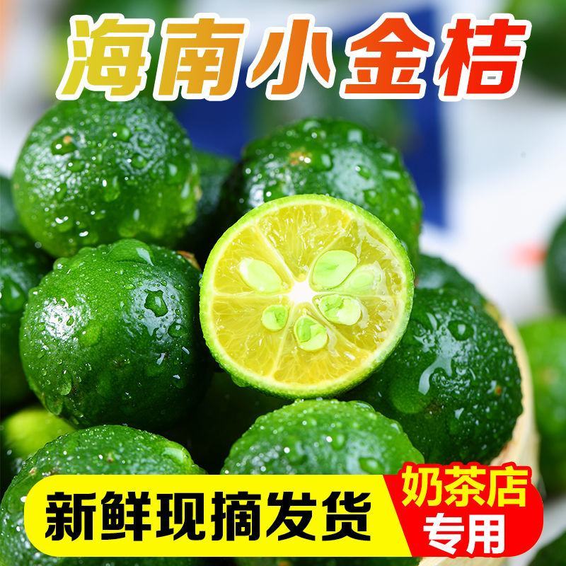 海南小青桔