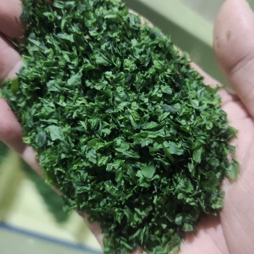 海苔干海苔碎