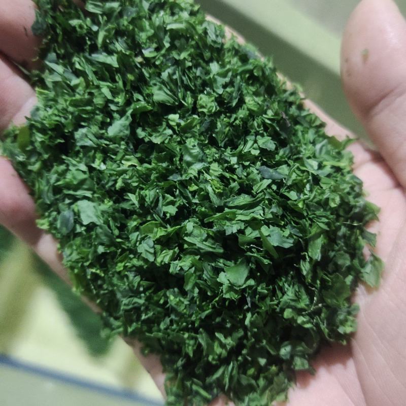 海苔干海苔碎