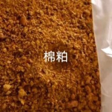 厂家常年直销棉籽饼蓖麻饼蔬菜水果专用饼肥，有机质85个，