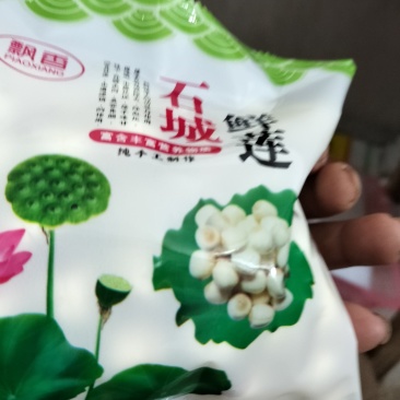 生鲜白莲