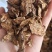 苍术，内蒙朱砂点苍术，过四个筛，足干，实物拍摄