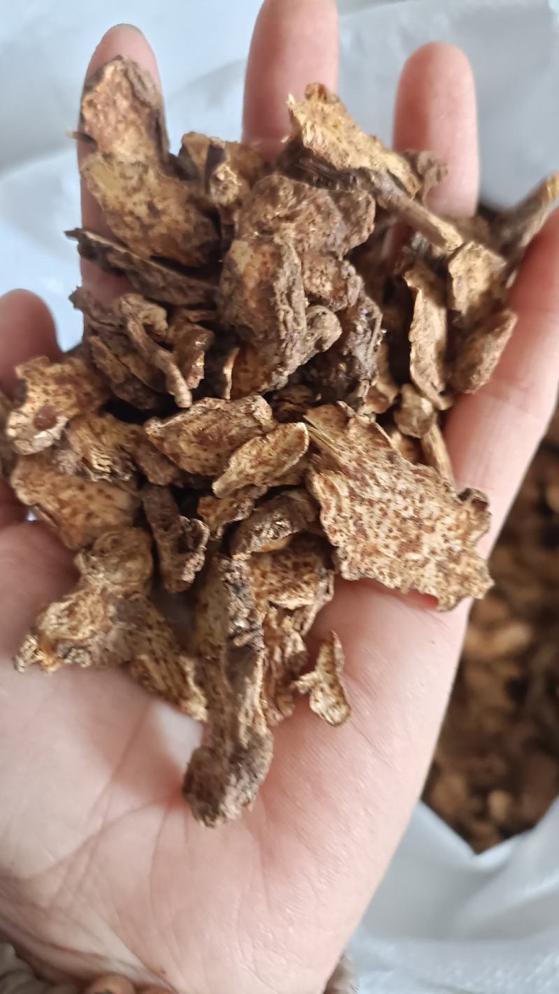 苍术，内蒙朱砂点苍术，过四个筛，足干，实物拍摄