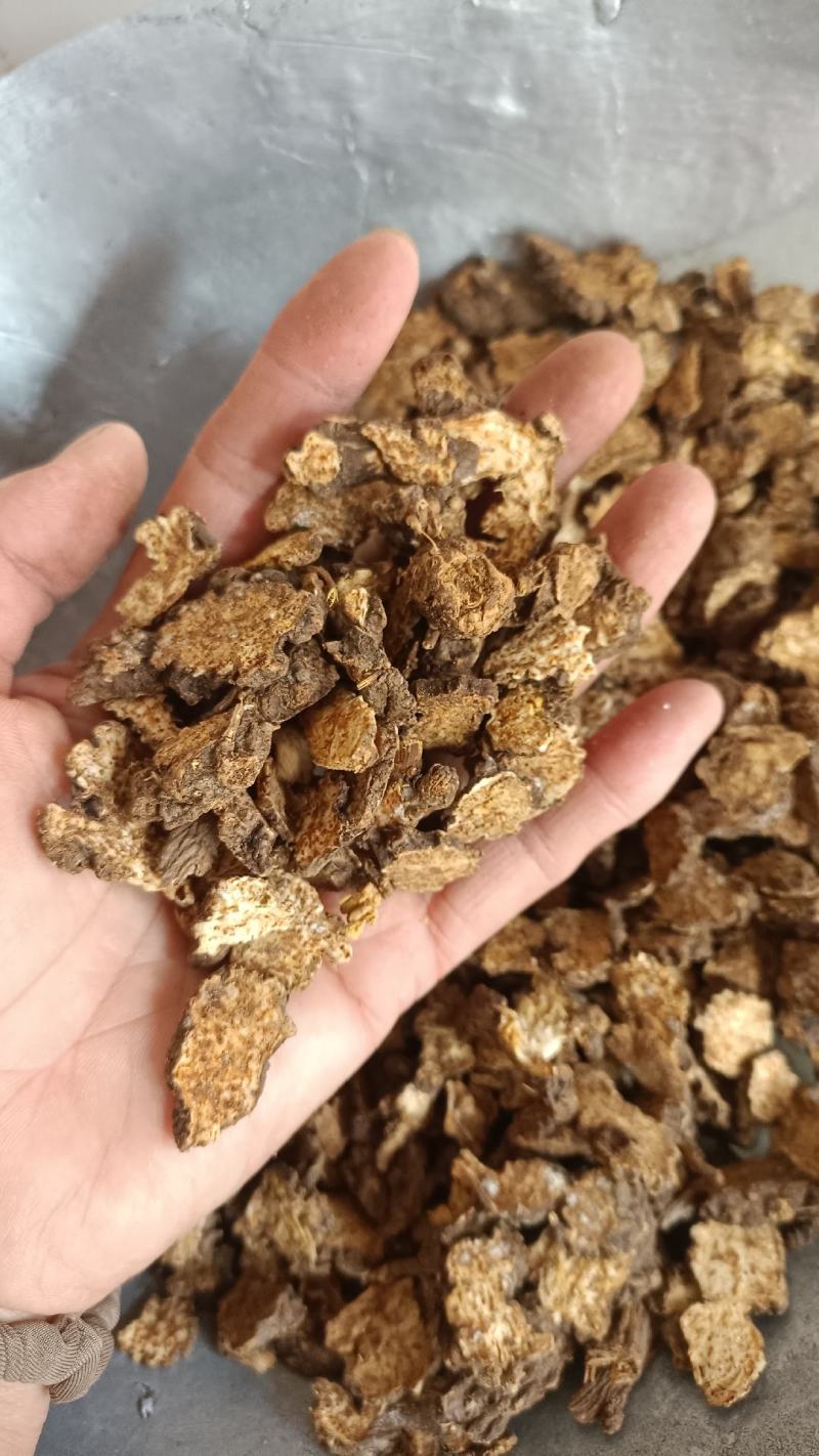 苍术，内蒙朱砂点苍术，过四个筛，足干，实物拍摄