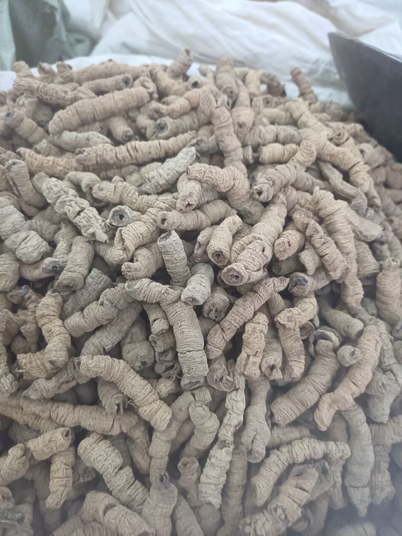 巴戟肉巴戟天广东一公斤起批不包邮中药材批发零售