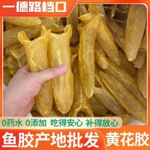 黄花胶筒胶片足干胶质好肉厚性价比高