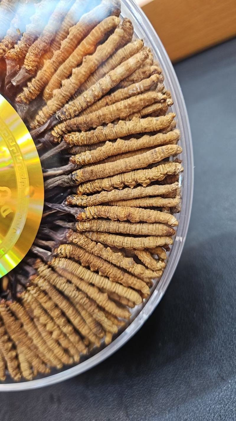 西藏那曲虫草大量供应质量保证产地直发规格齐全欢迎订购