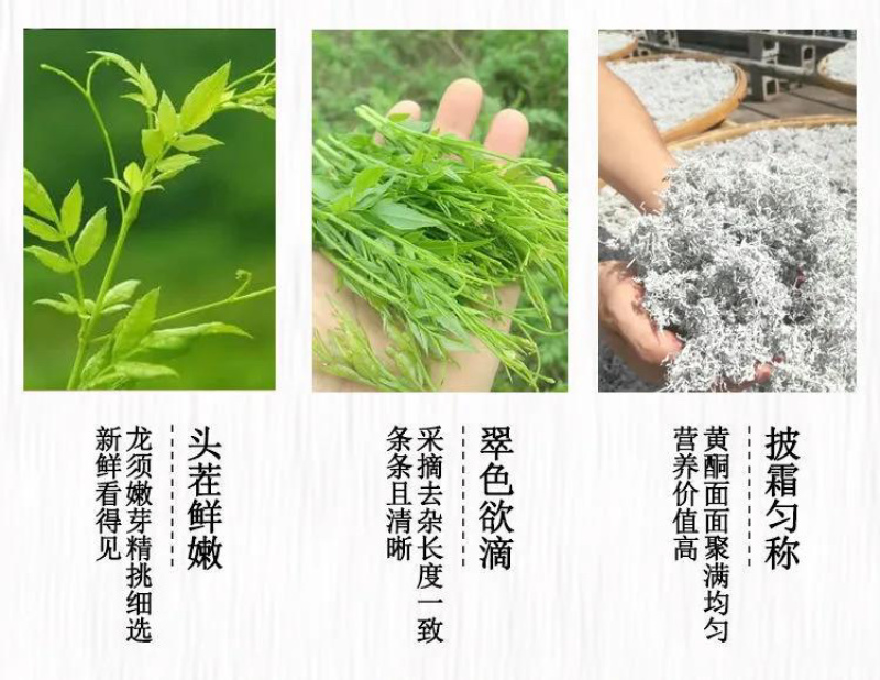 张家界莓茶