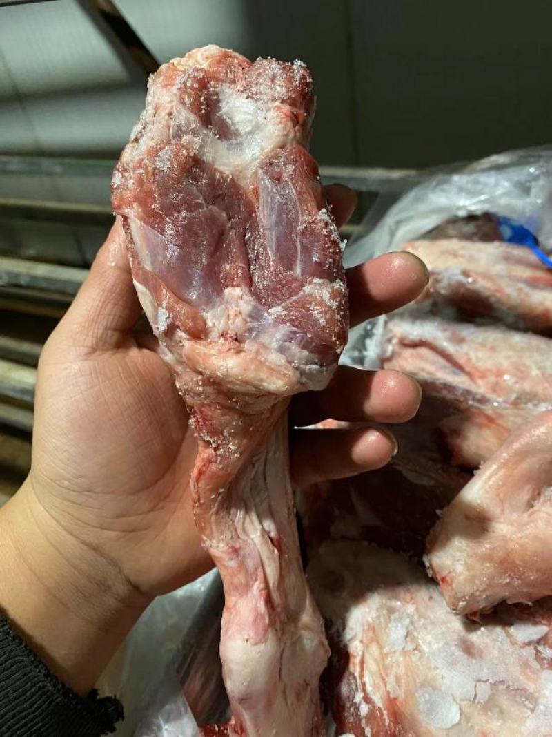 【羔羊后腱】厂家直发价格优惠品质保证支持拿样