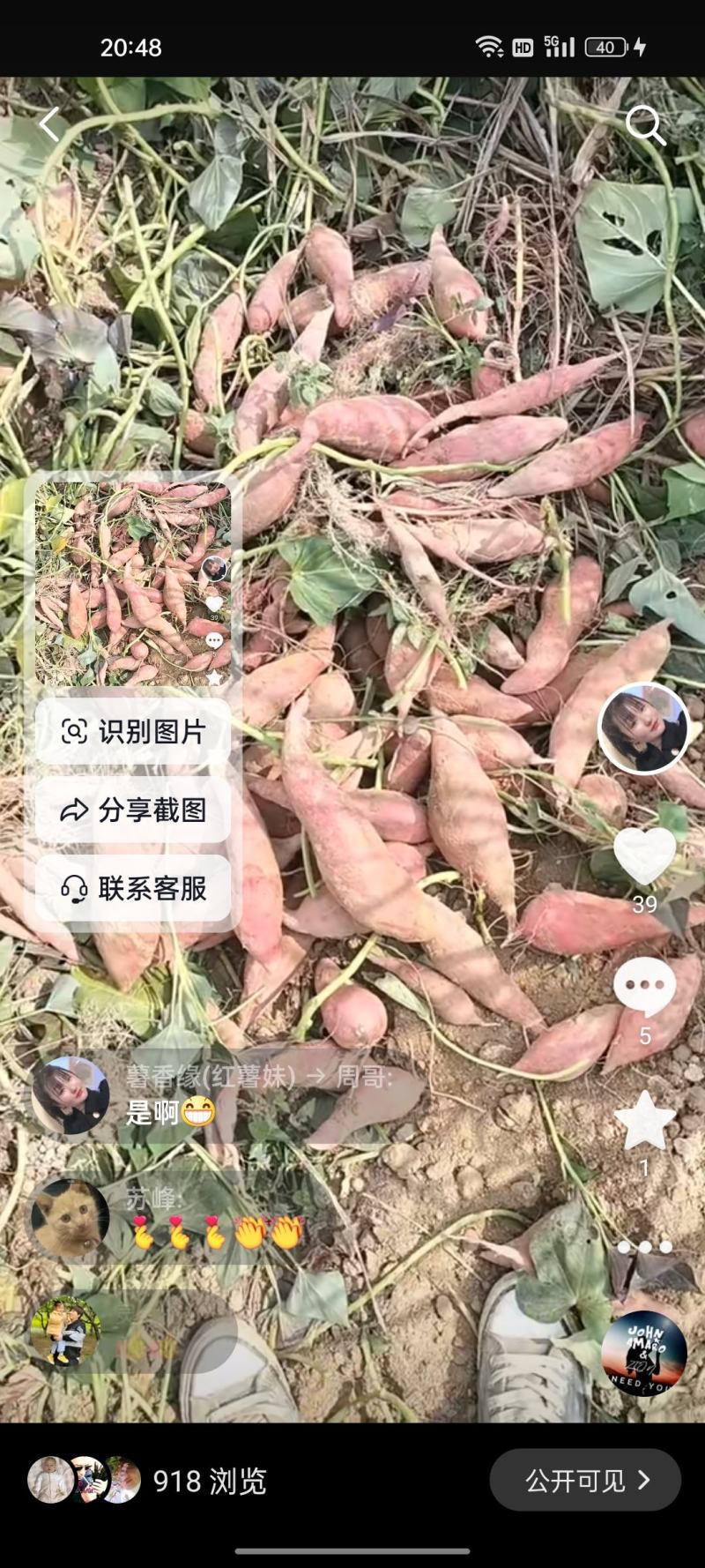 自家种的红薯西瓜红，没有虫眼，软糯香甜，