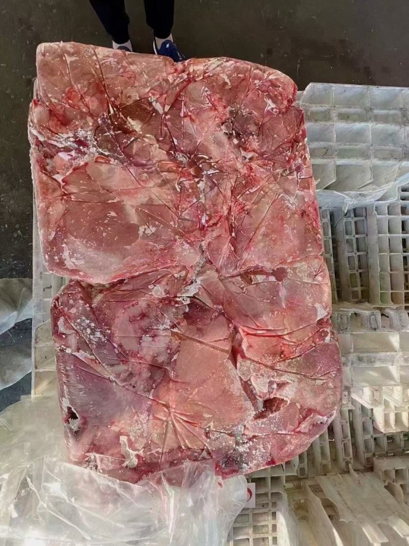 母猪四号肉