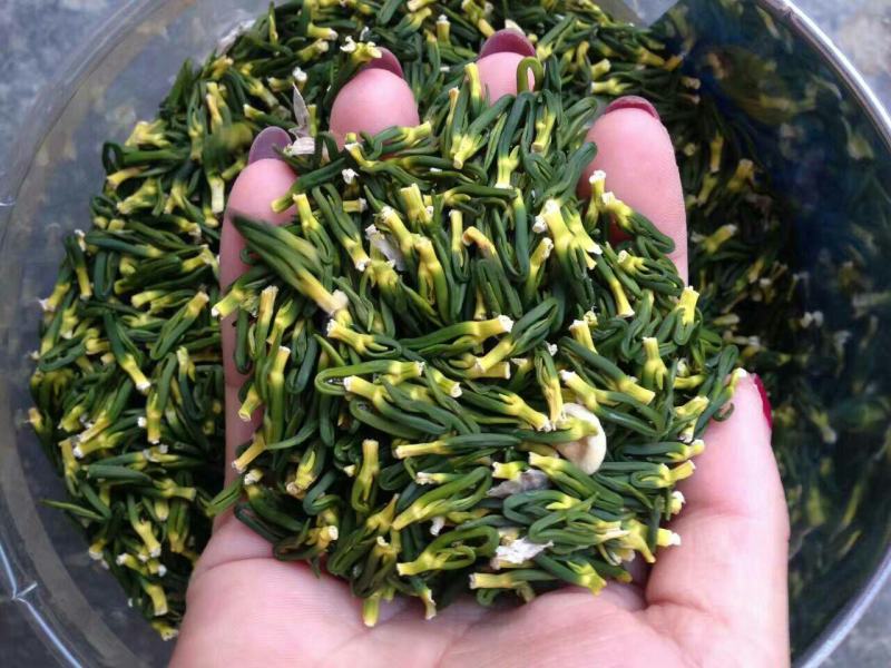 莲子芯，新货无硫产地直发规格齐全实拍现货质量保证24小时