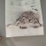 猫砂包装袋猫粮狗粮包装袋猫砂包装塑料手提袋定制批发