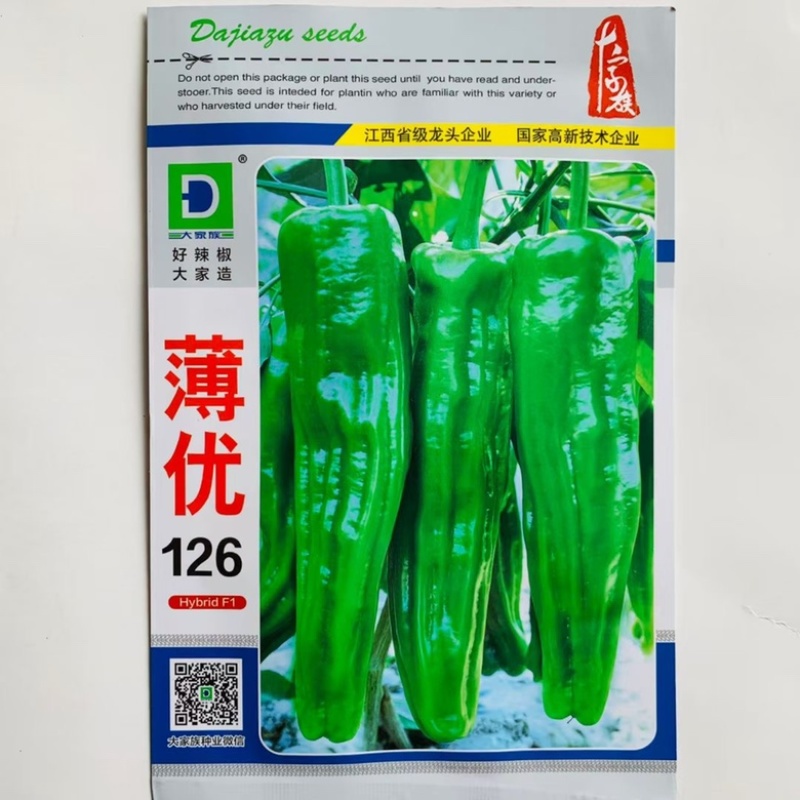 月丰999辣椒种子早熟大果挂果多膨果快农家春秋播种精选牛