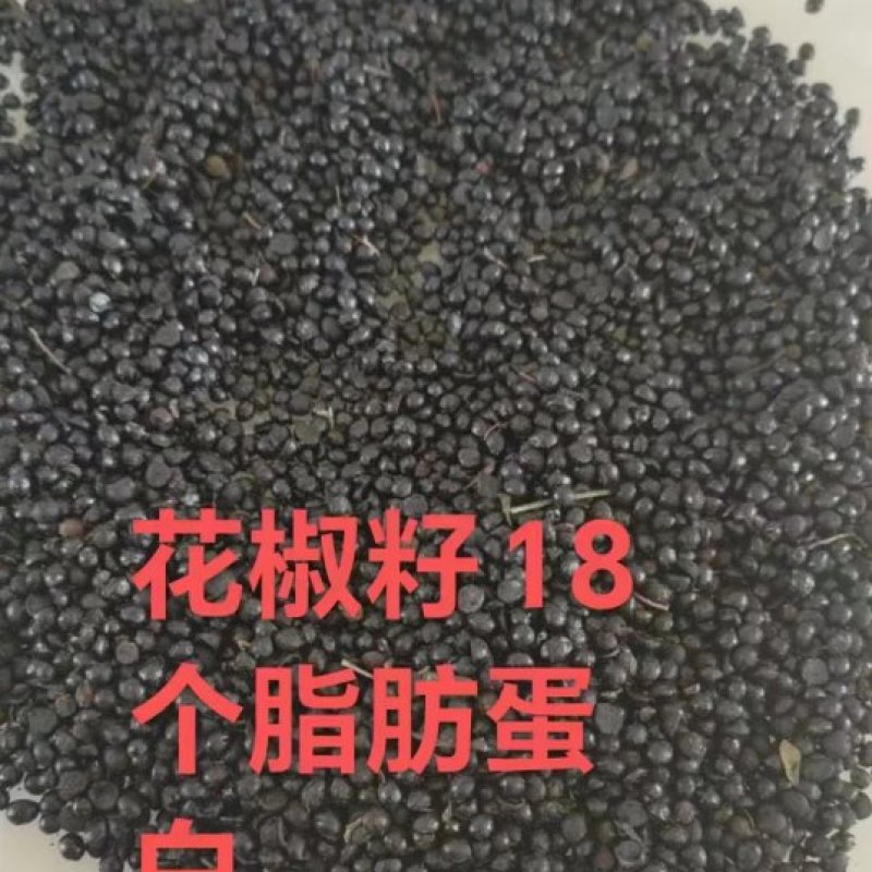 花椒籽，可代替5%玉米，促使畜禽生长。大量现货。