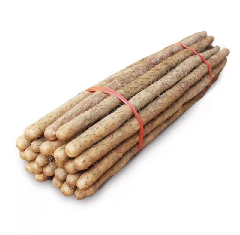 新鲜小白嘴山药河北蔬菜软糯农家淮山药铁棍山药