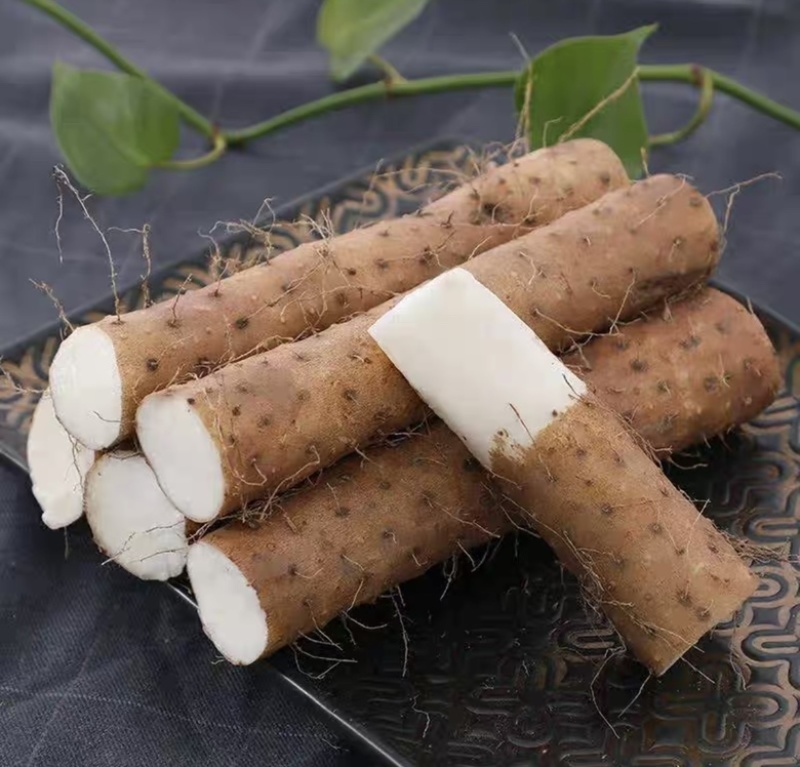 新鲜小白嘴山药河北蔬菜软糯农家淮山药铁棍山药