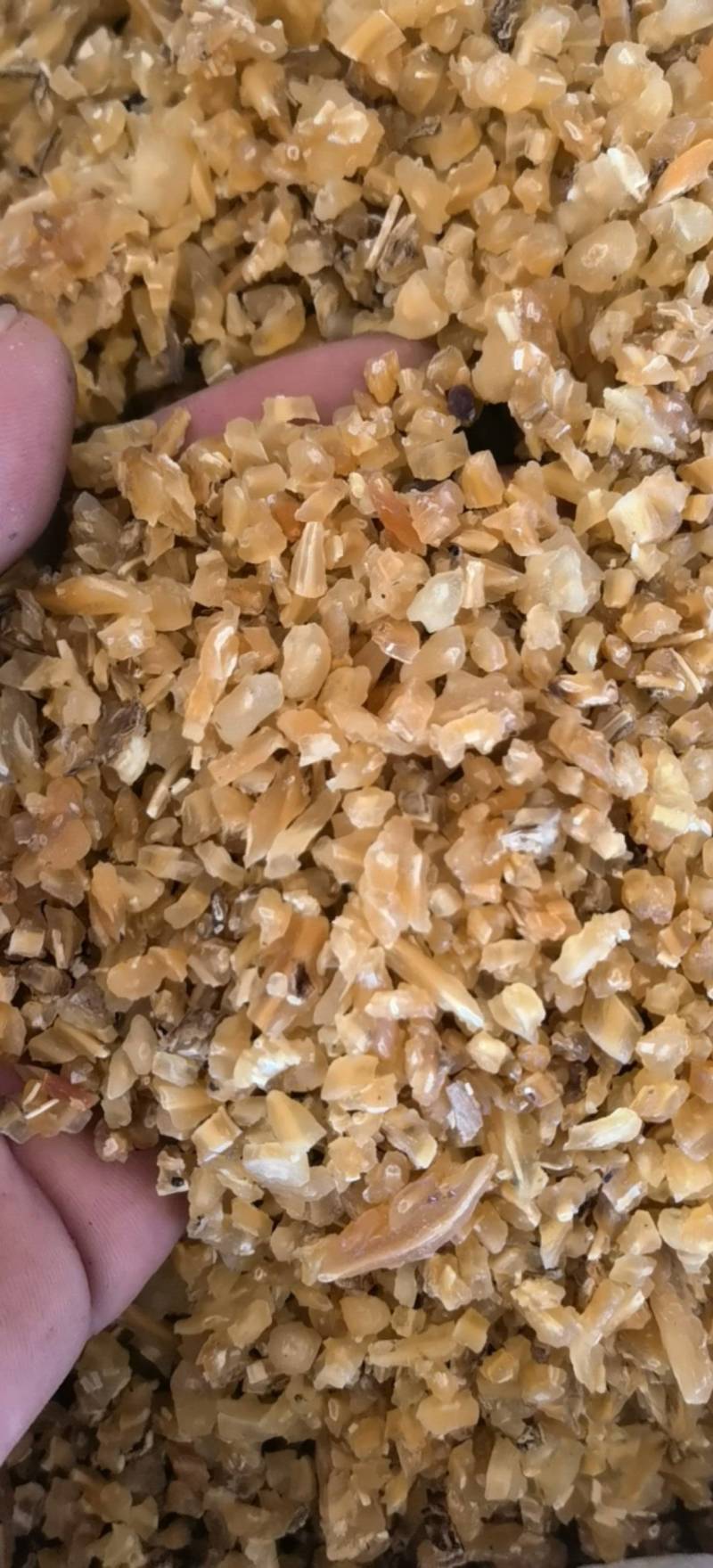 天冬天冬片选关书药业无硫地道药材批发各种规格中药