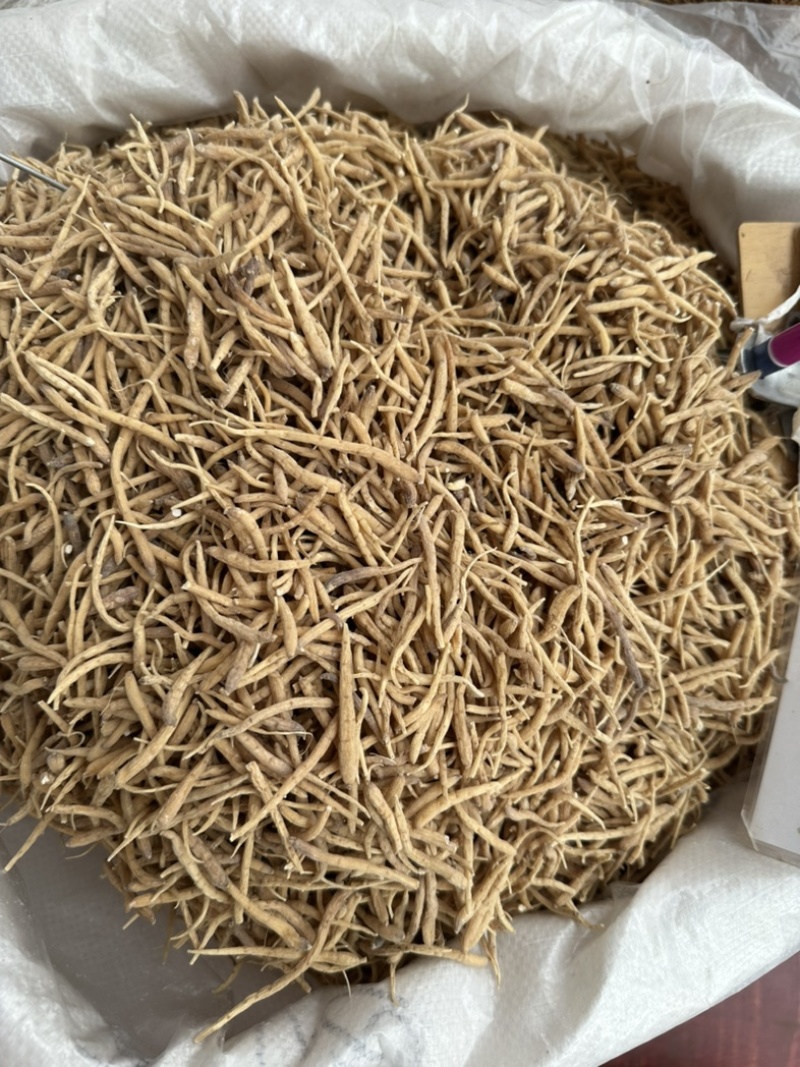 太子参