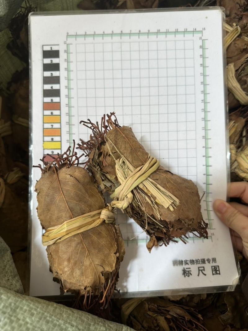 山楂叶