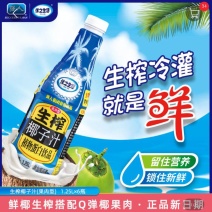 强人冷灌生榨椰子汁1.25L*6瓶