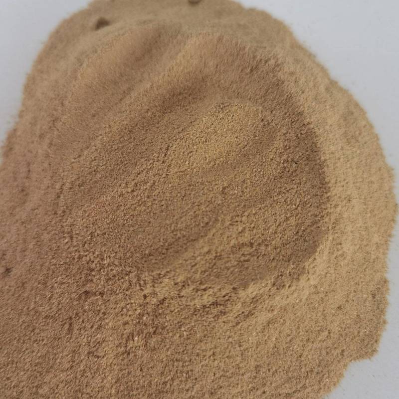 大豆胚芽粉蛋白45牛羊养殖蛋白饲料