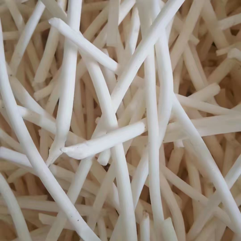 通草