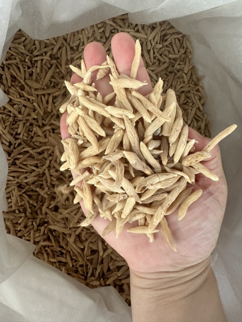 麦冬