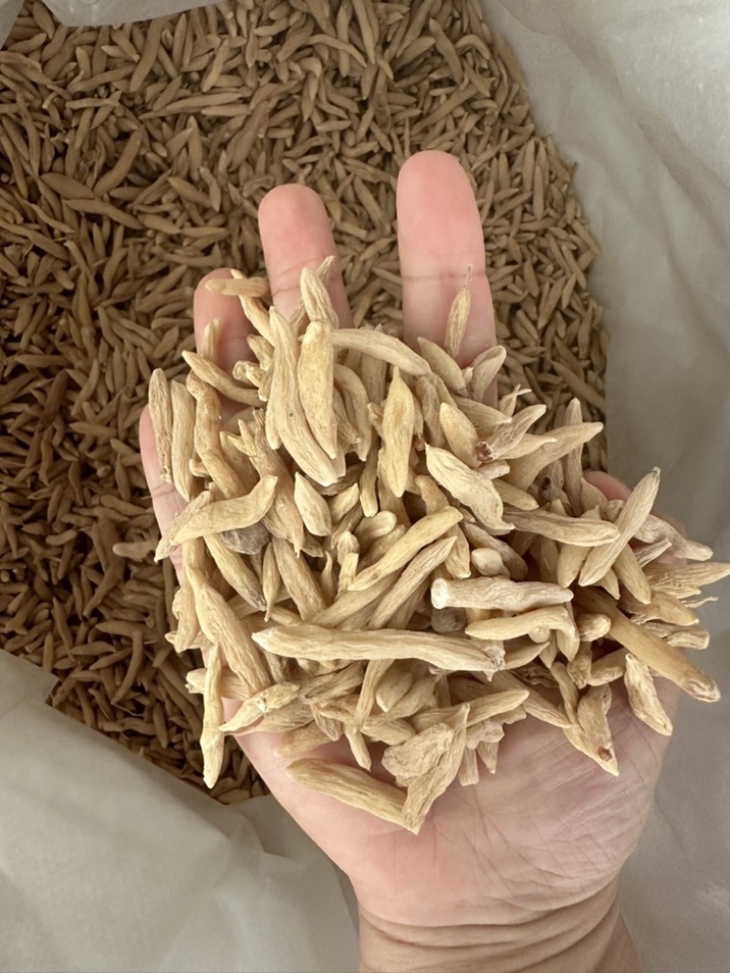 麦冬