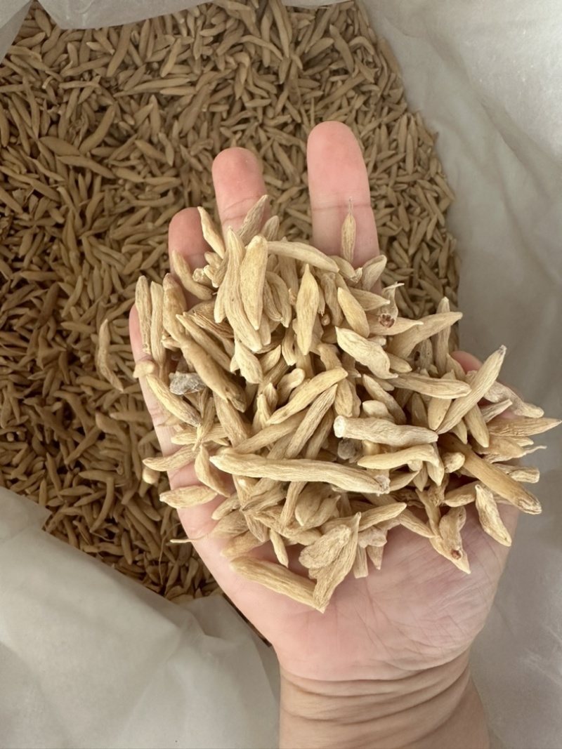 麦冬