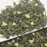 茉莉花茶曲螺香螺2025新茶浓香型茉莉绿茶散装批发口粮茶
