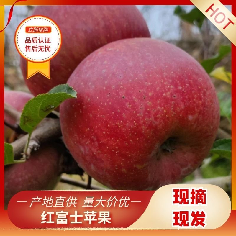 精品苹果红富士冰糖心苹果货源充足量大从优欢迎咨询