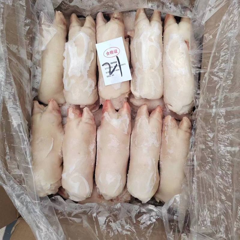 冻猪蹄纯干货生猪蹄短猪蹄带筋猪蹄一手货源价格美丽