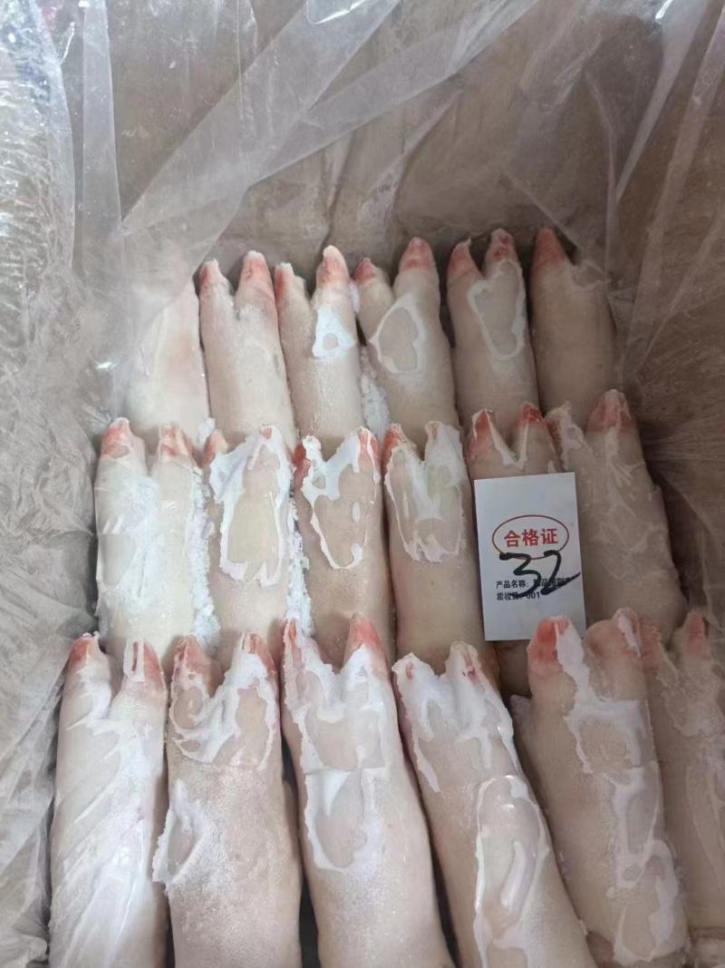 冻猪蹄纯干货生猪蹄短猪蹄带筋猪蹄一手货源价格美丽