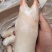 冻猪蹄纯干货生猪蹄短猪蹄带筋猪蹄一手货源价格美丽