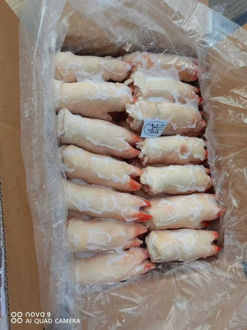 冻猪蹄纯干货生猪蹄短猪蹄带筋猪蹄一手货源价格美丽
