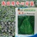 牛心甘蓝种子强春甘蓝种子种籽春秋包菜包心菜卷心菜大头菜