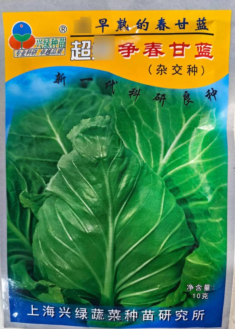 争春甘蓝种子早熟包菜种籽牛心甘蓝春夏秋四季蔬菜种子孑