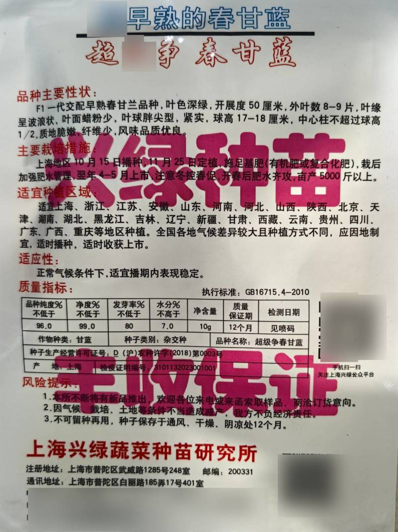 争春甘蓝种子早熟包菜种籽牛心甘蓝春夏秋四季蔬菜种子孑