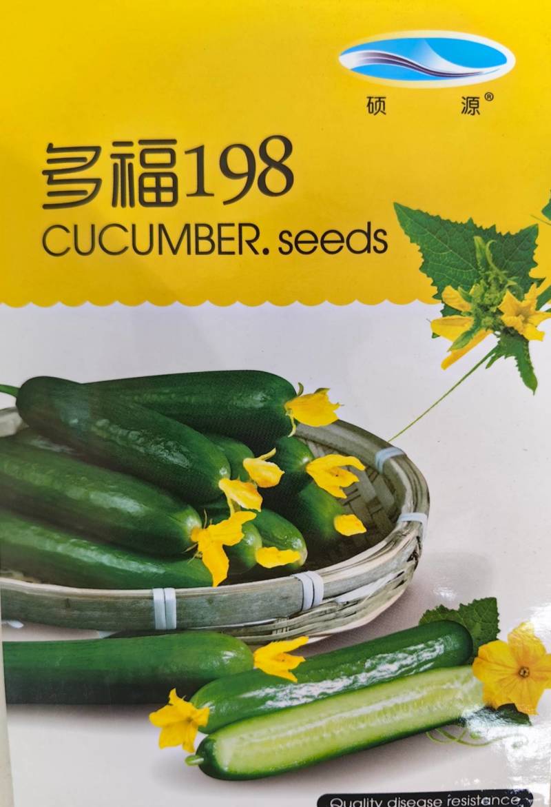 荷兰水果黄瓜种子硕源多福198小黄瓜迷你旱黄瓜春秋蔬菜种