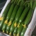 荷兰水果黄瓜种子硕源多福198小黄瓜迷你旱黄瓜春秋蔬菜种