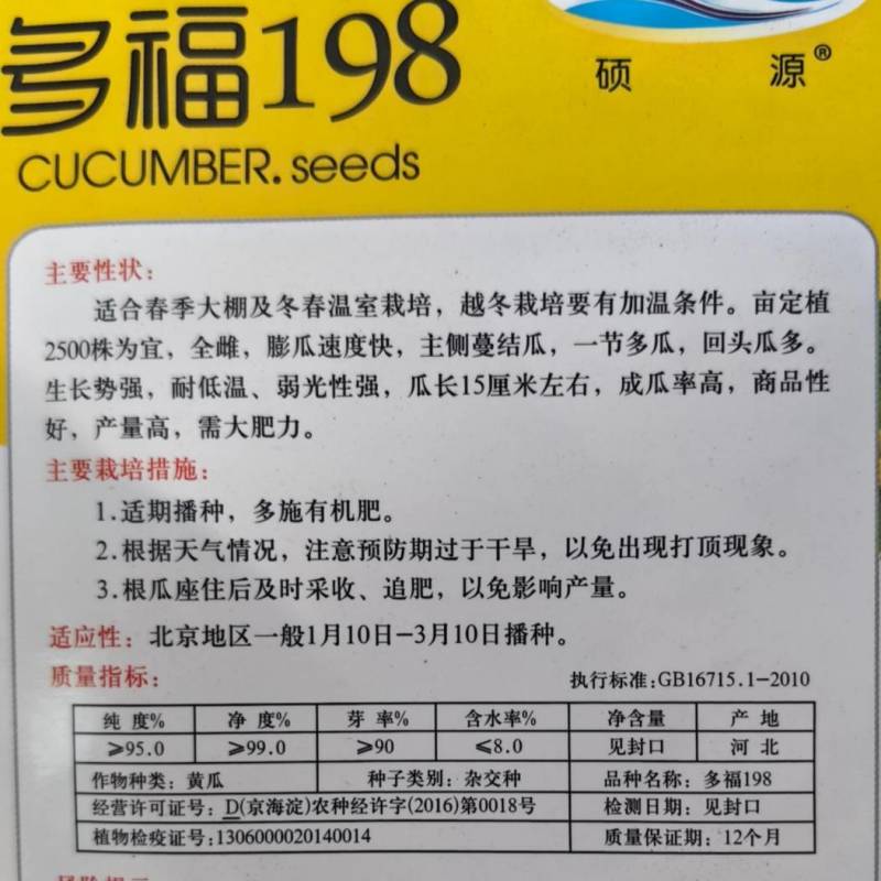 荷兰水果黄瓜种子硕源多福198小黄瓜迷你旱黄瓜春秋蔬菜种