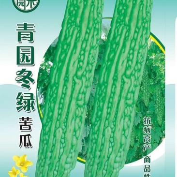 苦瓜种子杂交苦瓜种子翠绿苦瓜种子抗病能力强肉厚味正大棚陆