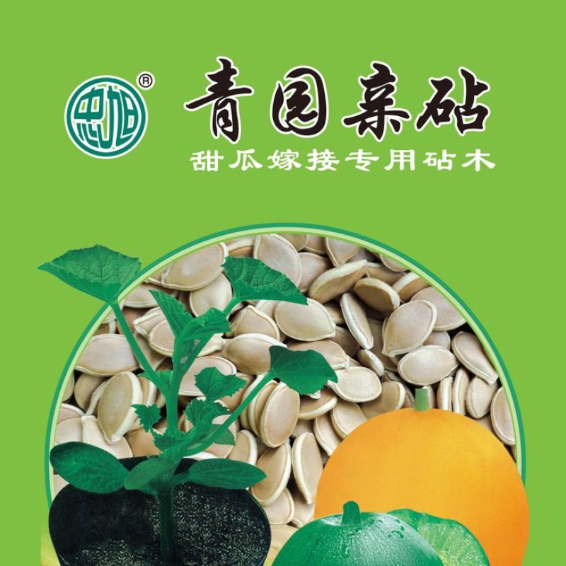 提高甜瓜甜度的甜瓜嫁接西瓜砧木种子产品甜度高口感特好
